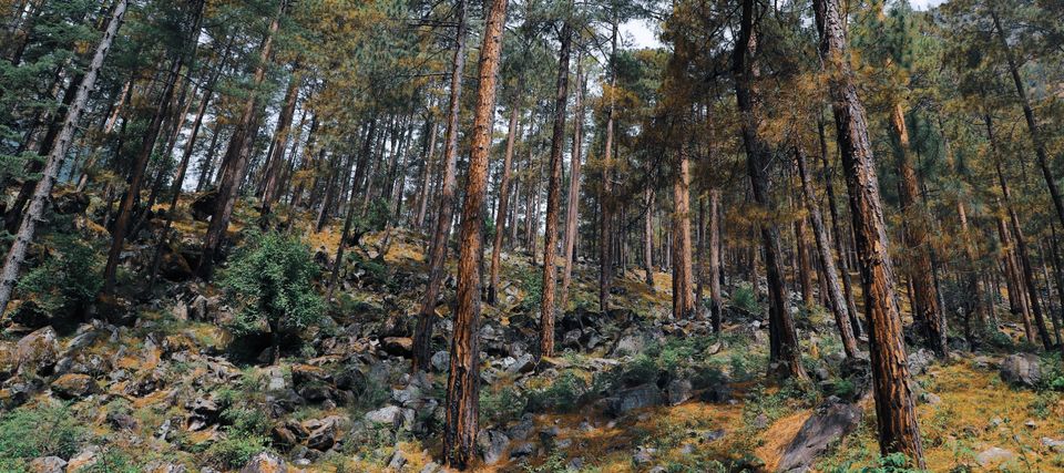 Photo of Grahan enchanted Village in Himachal by sarthak bulbuley