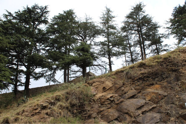 Photo of A TRIP TO HIMACHAL PRADESH by Afreen Khan