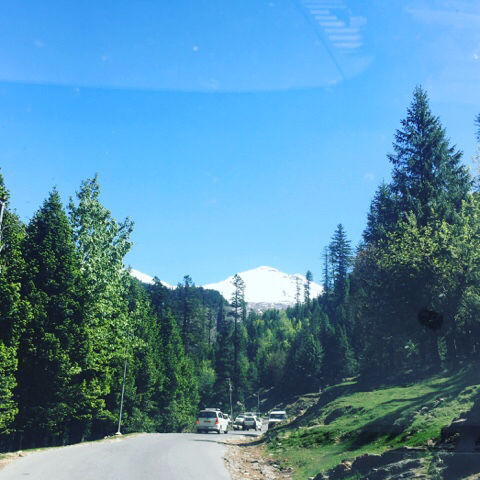 Photo of A TRIP TO HIMACHAL PRADESH by Afreen Khan