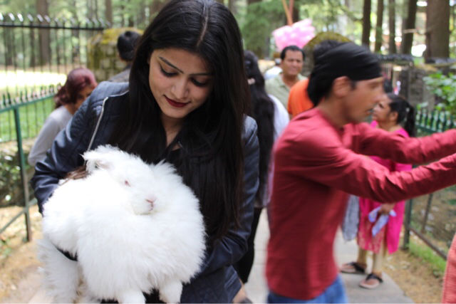 Photo of A TRIP TO HIMACHAL PRADESH by Afreen Khan
