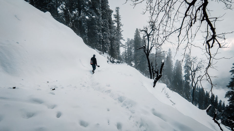 Photo of Narkanda: In search of snow by Pavel Rout