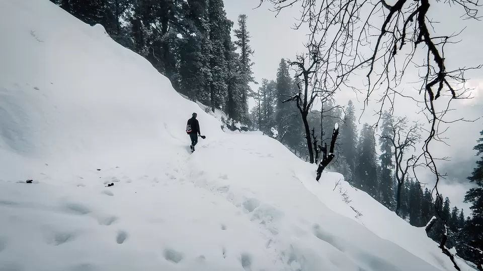 Photo of Hatu Peak, Himachal Pradesh by Pavel Rout