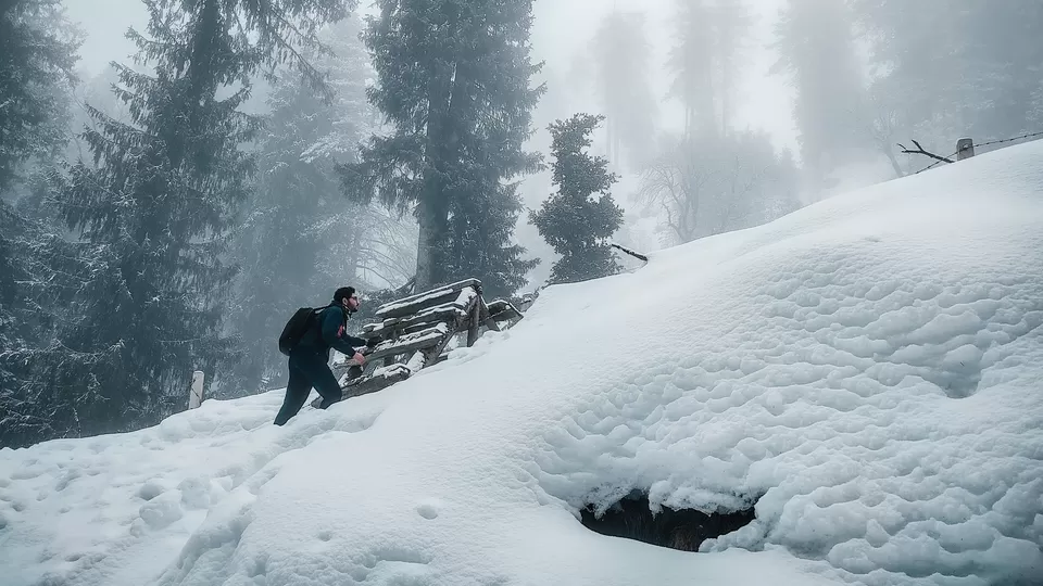 Photo of Hatu Peak, Himachal Pradesh by Pavel Rout
