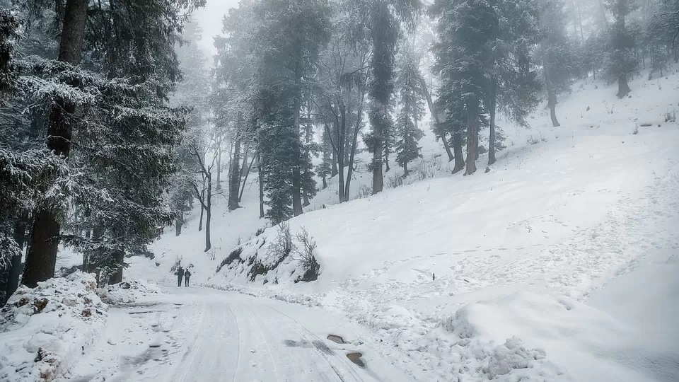 Photo of Hatu Peak, Himachal Pradesh by Pavel Rout