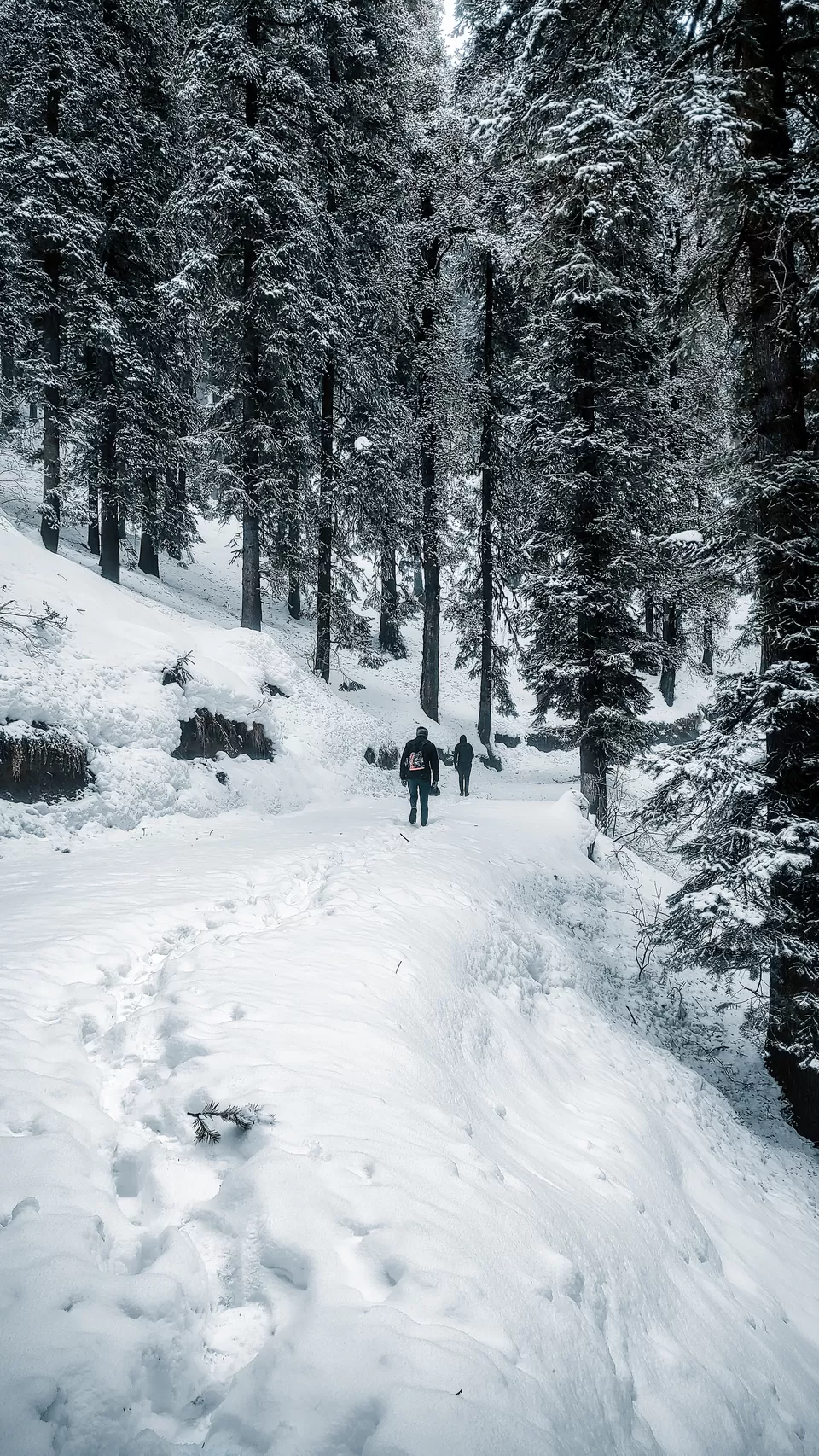 Photo of Hatu Peak, Himachal Pradesh by Pavel Rout