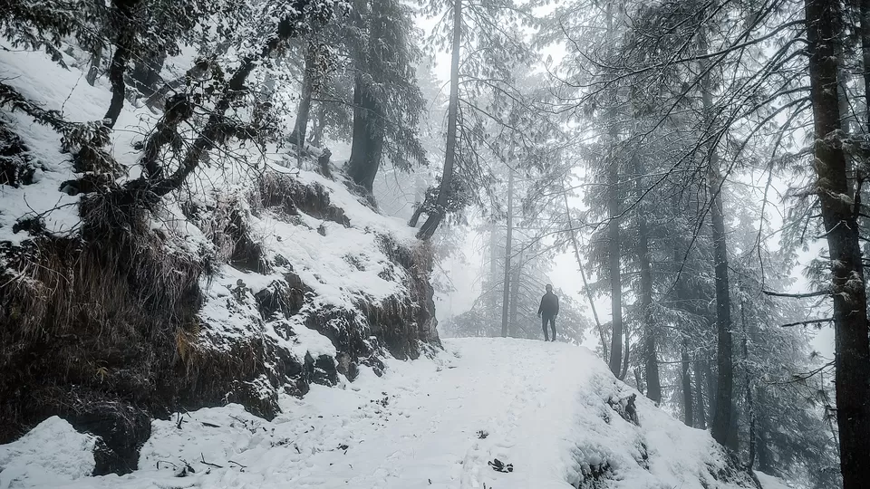 Photo of Hatu Peak, Himachal Pradesh by Pavel Rout