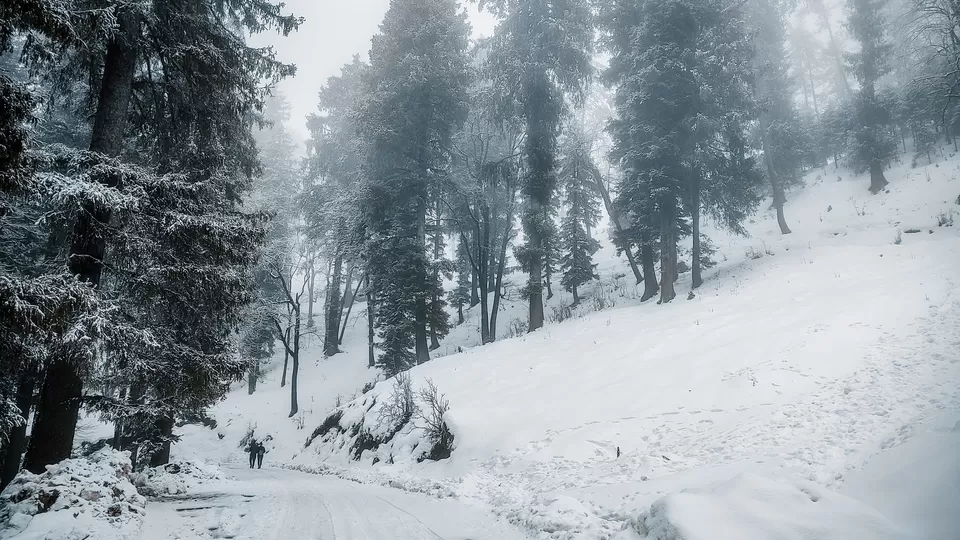Photo of Hatu Peak, Himachal Pradesh by Pavel Rout