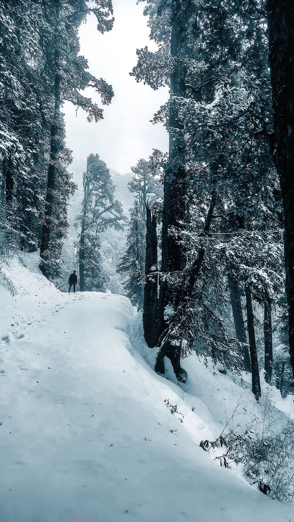 Photo of Hatu Peak, Himachal Pradesh by Pavel Rout
