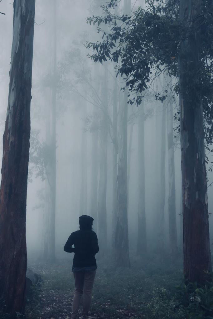 Photo of Kodaikanal, Tamil Nadu, India by Silvia Thomas