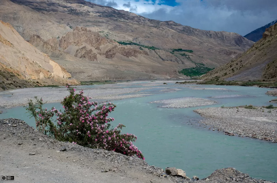 Photo of Pin Valley National Park, Spiti Valley, Himachal Pradesh, India by Pulak