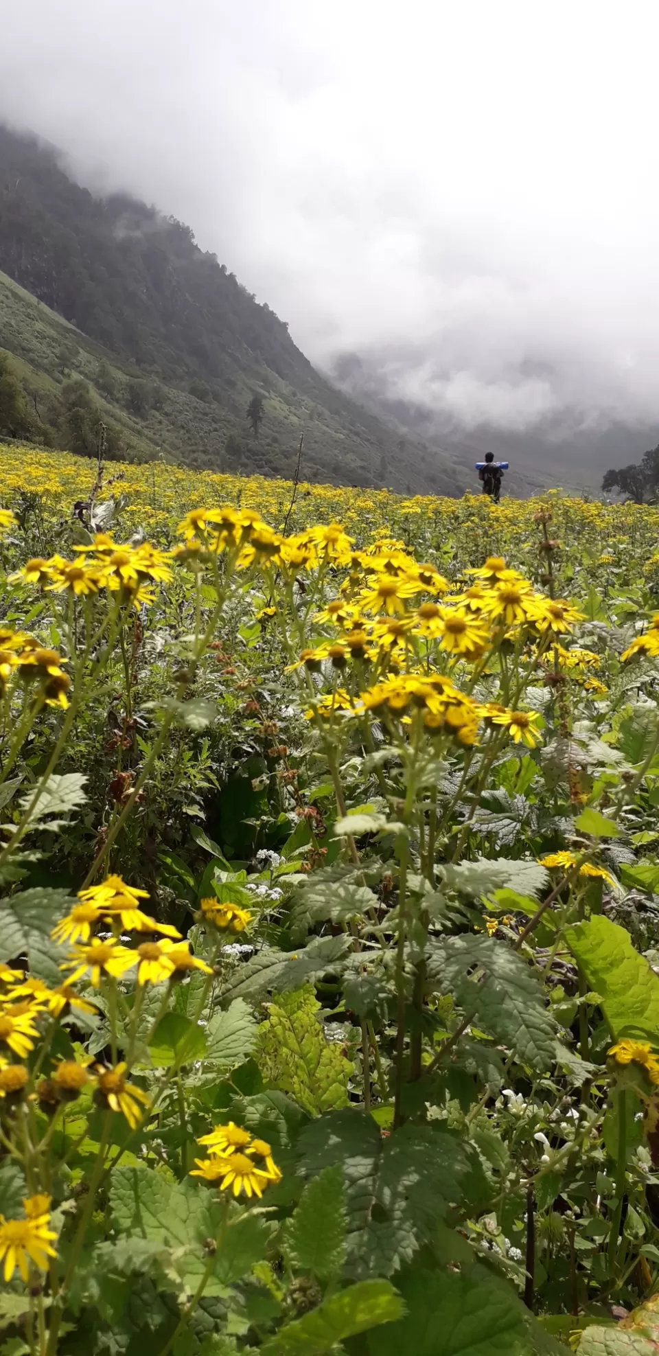 Photo of Gadasaru maintain range at Himachal pradesh by Diwakar Amrahs