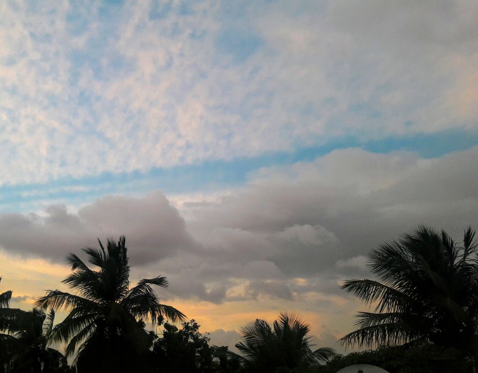 Photo of An Evening In Chennai 4/4 by Sowmya S