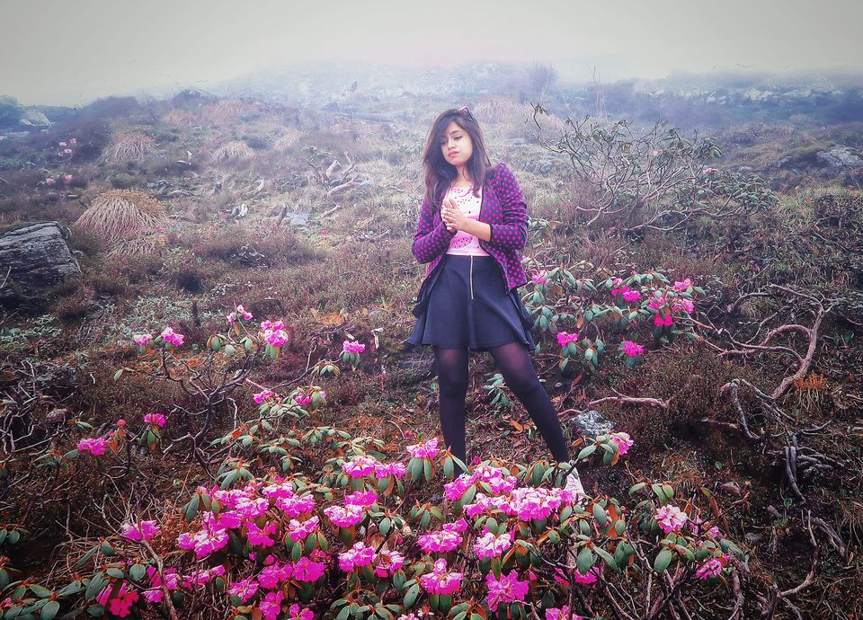 Photo of North Sikkim, Sikkim, India by Digdarshinee Rout