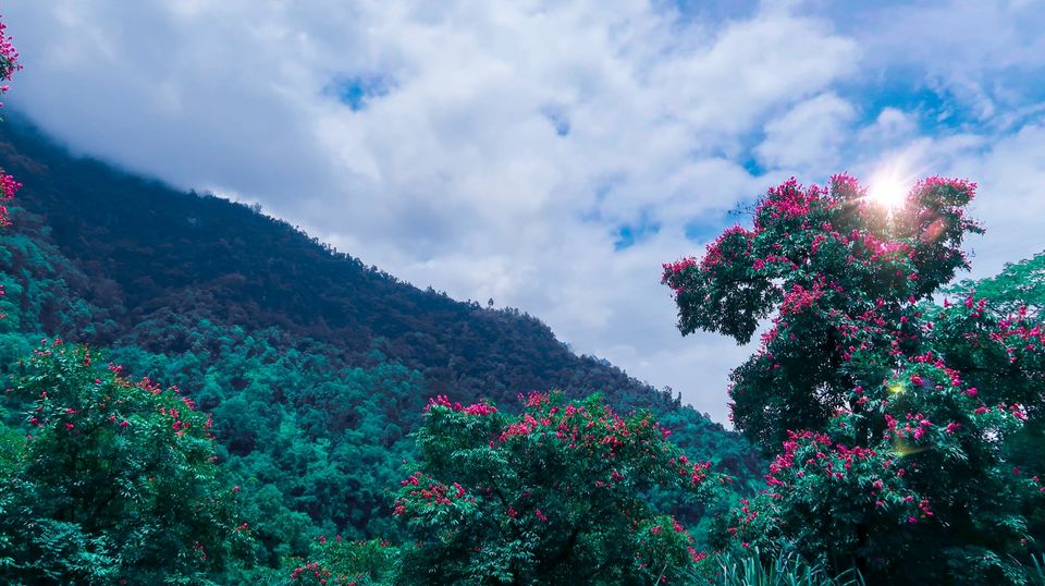 Photo of SIKKIM-UNFOLDING ANOTHER NIRAVANA OF INDIA #northeastitinerary 2/4 by Digdarshinee Rout