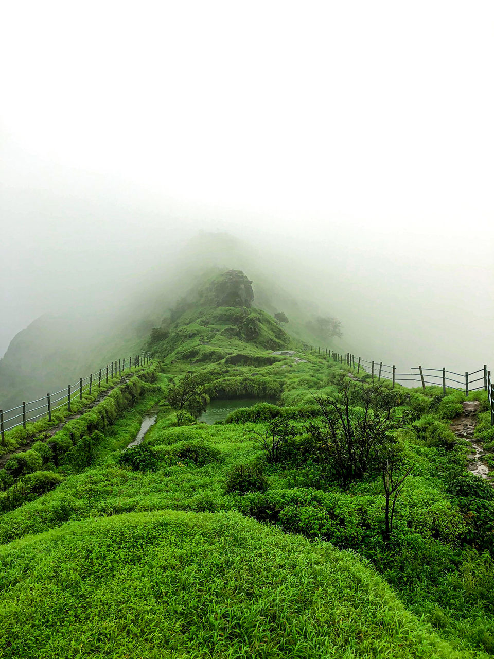 Photo of Scorpion Trail of Lohagad fort,pune lohagad fort part 2 #travelblog by Digdarshinee Rout
