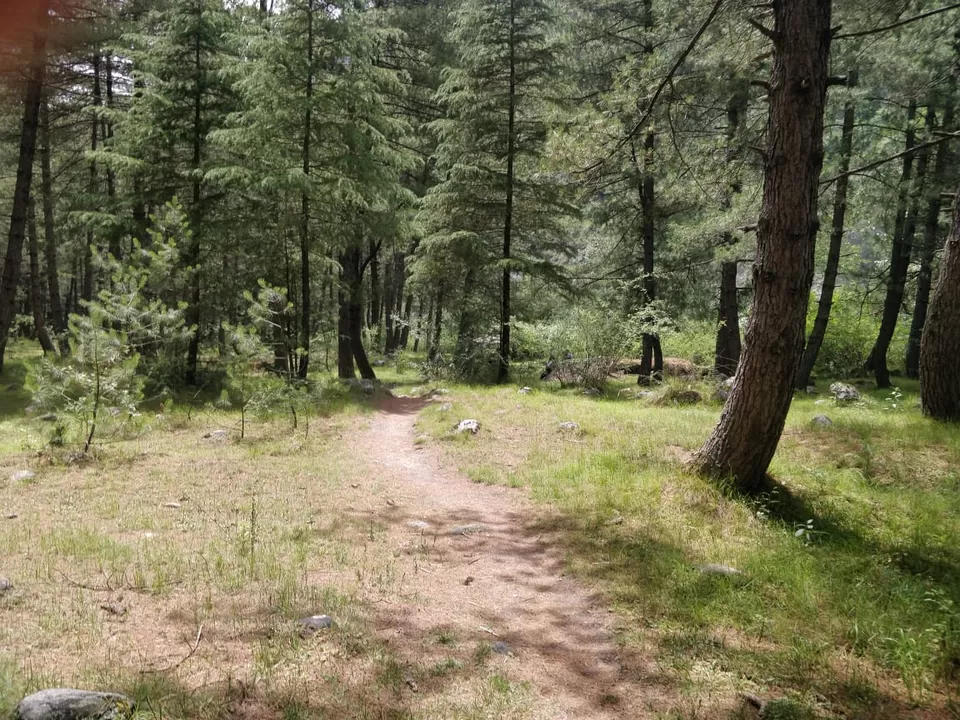 Photo of Tall Trees Resort, Manali, NH707, Haripur Tohana, Himachal Pradesh, India by payal gupta