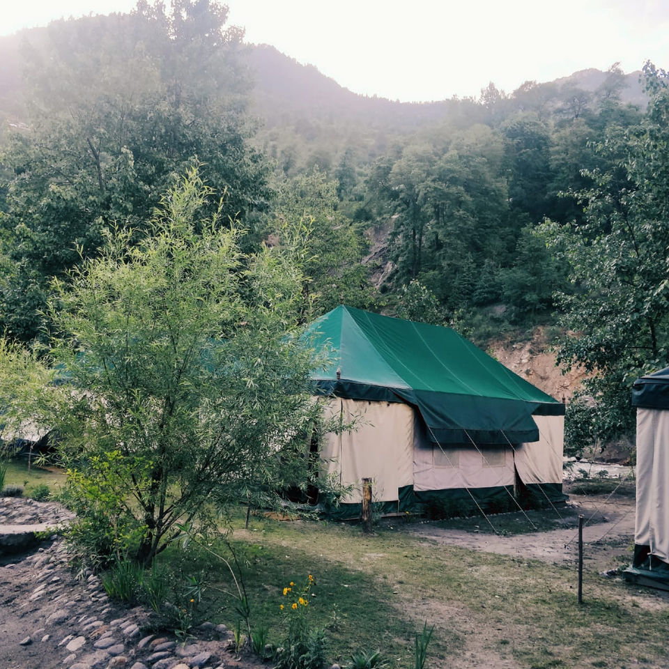 Photo of Tall Trees Resort, Manali, NH707, Haripur Tohana, Himachal Pradesh, India by payal gupta