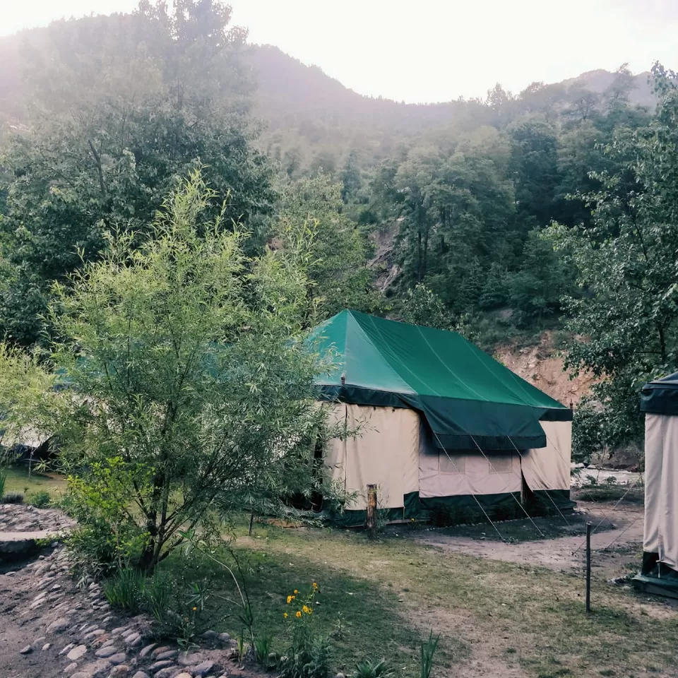 Photo of Tall Trees Resort, Manali, NH707, Haripur Tohana, Himachal Pradesh, India by payal gupta