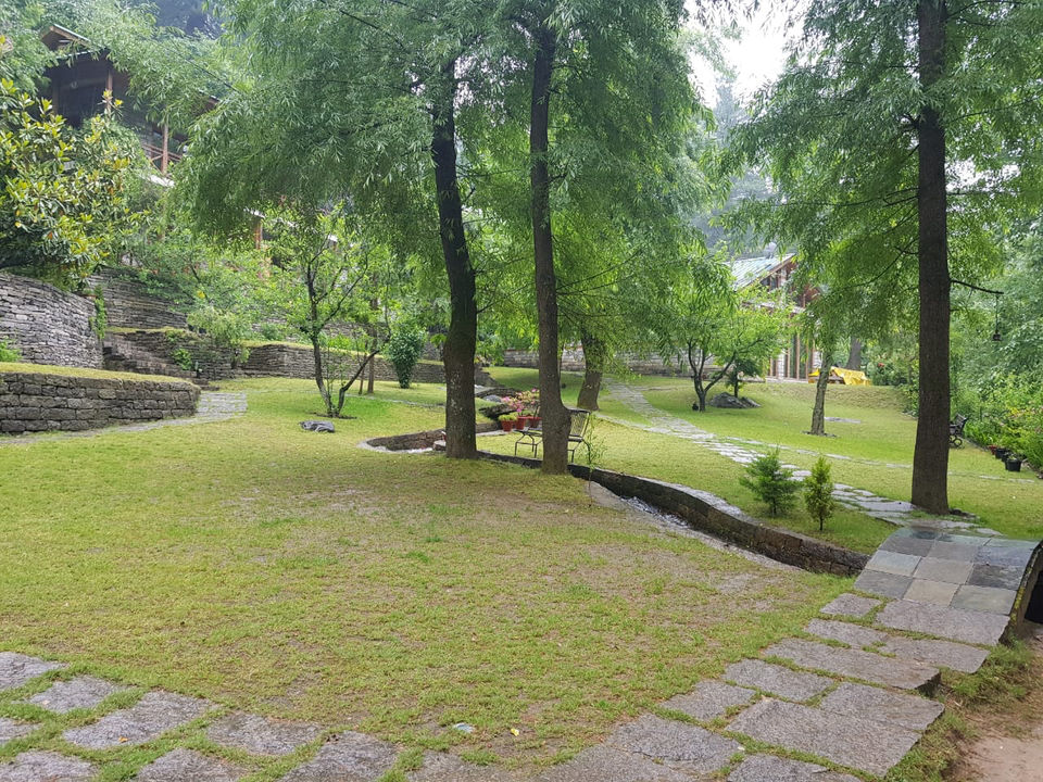Photo of Tall Trees Resort, Manali, NH707, Haripur Tohana, Himachal Pradesh, India by payal gupta