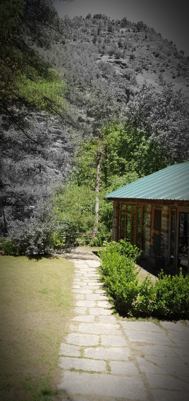Photo of Tall Trees Resort, Manali, NH707, Haripur Tohana, Himachal Pradesh, India by payal gupta