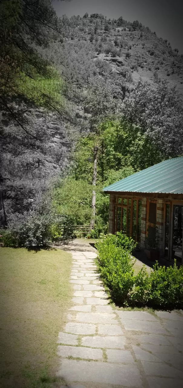 Photo of Tall Trees Resort, Manali, NH707, Haripur Tohana, Himachal Pradesh, India by payal gupta