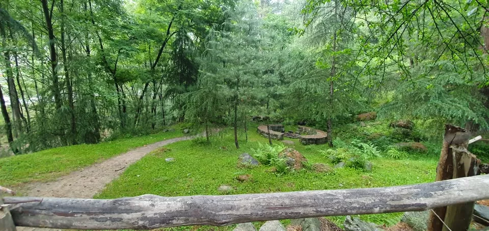 Photo of Tall Trees Resort, Manali, NH707, Haripur Tohana, Himachal Pradesh, India by payal gupta