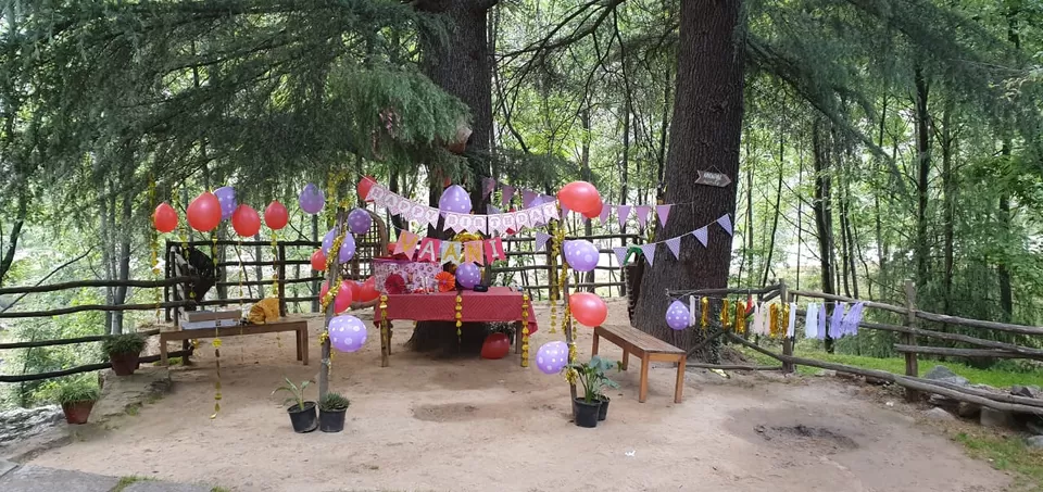 Photo of Tall Trees Resort, Manali, NH707, Haripur Tohana, Himachal Pradesh, India by payal gupta