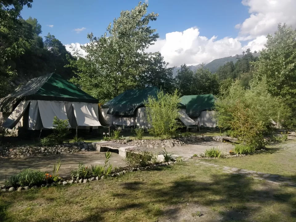 Photo of Tall Trees Resort, Manali, NH707, Haripur Tohana, Himachal Pradesh, India by payal gupta