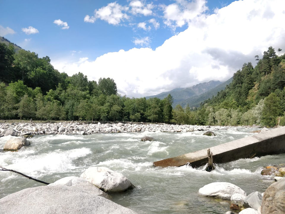 Photo of Tall Trees Resort, Manali, NH707, Haripur Tohana, Himachal Pradesh, India by payal gupta