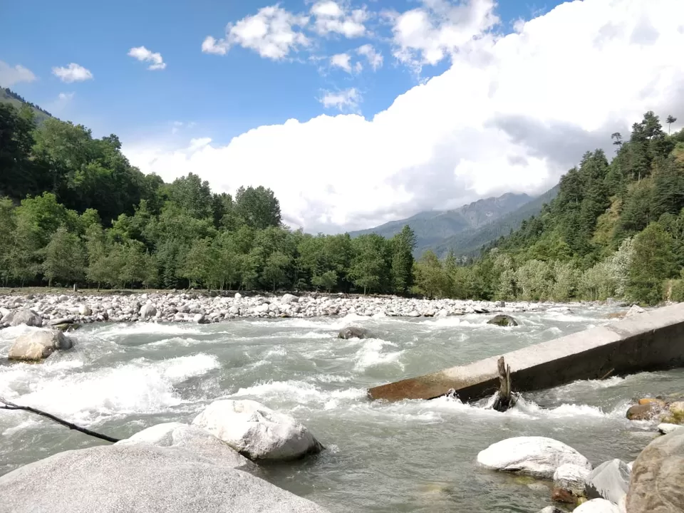 Photo of Tall Trees Resort, Manali, NH707, Haripur Tohana, Himachal Pradesh, India by payal gupta