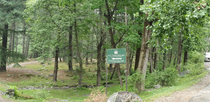 Photo of Tall Trees Resort, Manali, NH707, Haripur Tohana, Himachal Pradesh, India by payal gupta