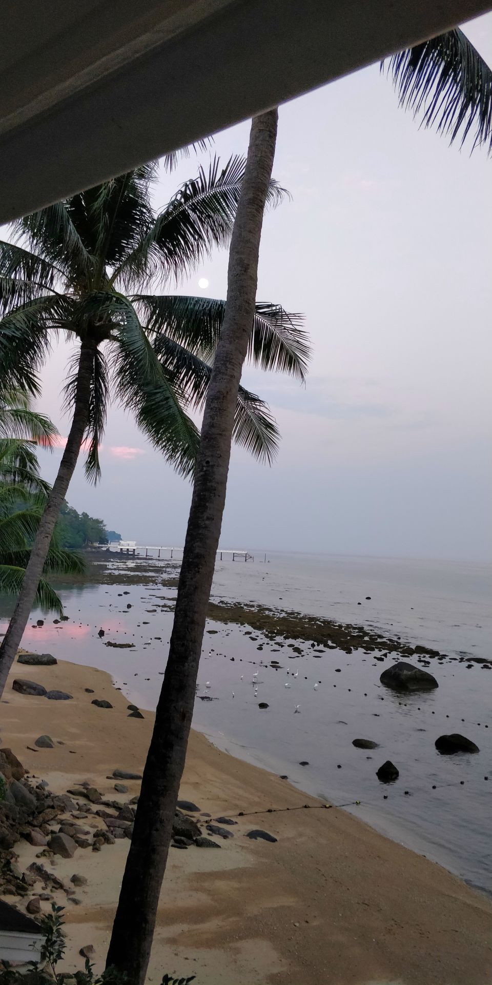 Photo of Phuket, Thailand by Sonu Nagdev