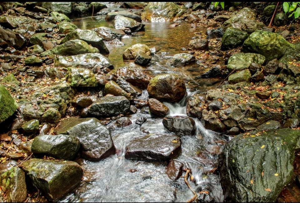 Photo of Natural Bridge Queensland, Australia by Mahima Dharani