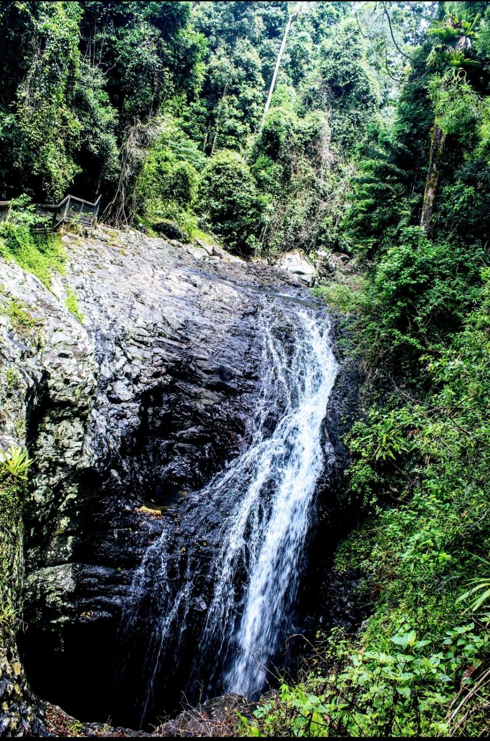 Photo of Natural Bridge Queensland, Australia by Mahima Dharani