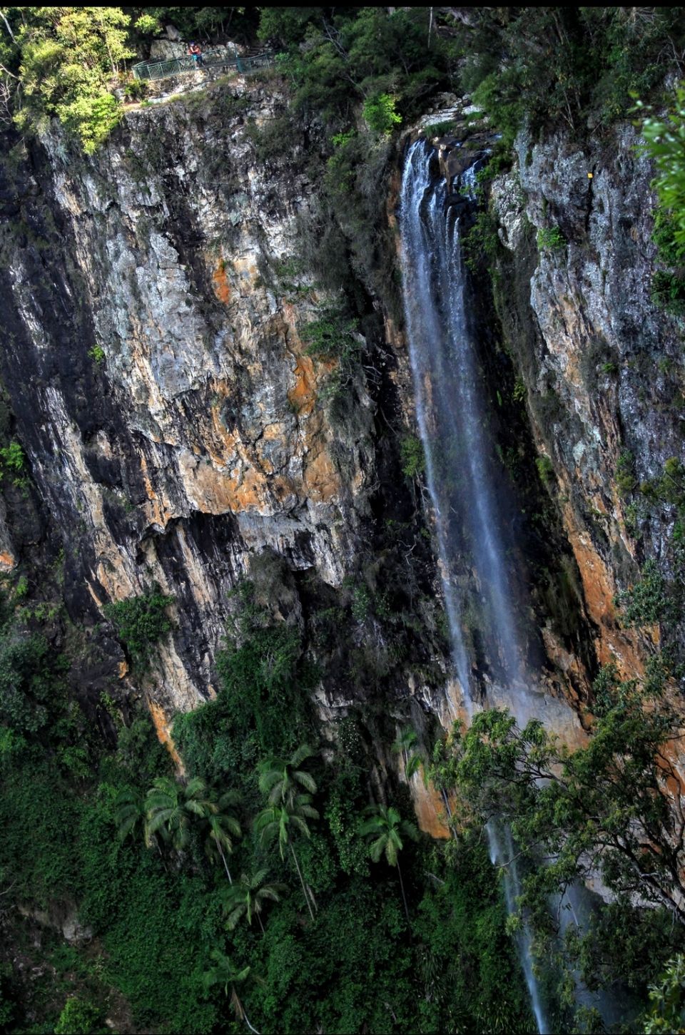 Photo of Purling Brook Falls, Springbrook National Park, Forestry Road, Springbrook QLD, Australia by Mahima Dharani