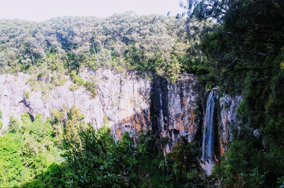 Photo of Purling Brook Falls, Springbrook National Park, Forestry Road, Springbrook QLD, Australia by Mahima Dharani