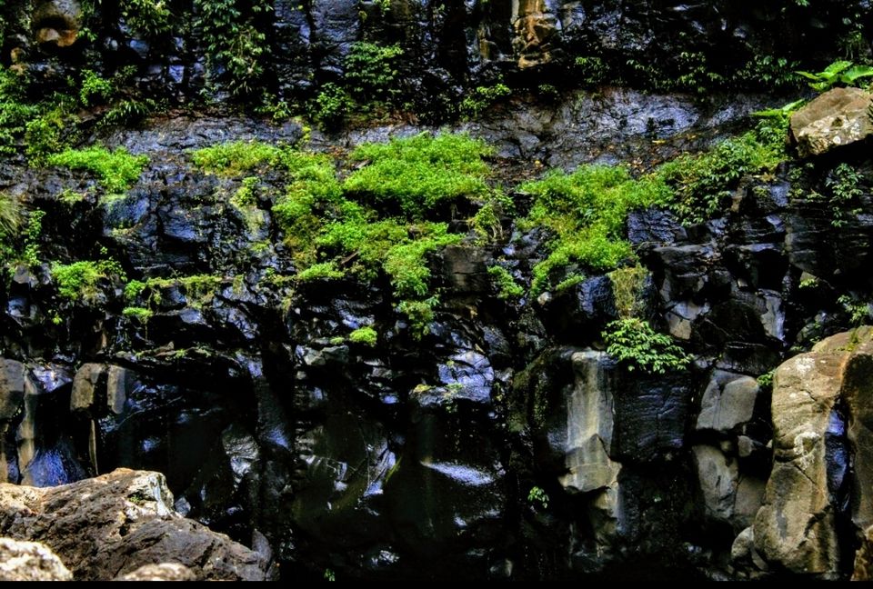 Photo of Purling Brook Falls, Springbrook National Park, Forestry Road, Springbrook QLD, Australia by Mahima Dharani