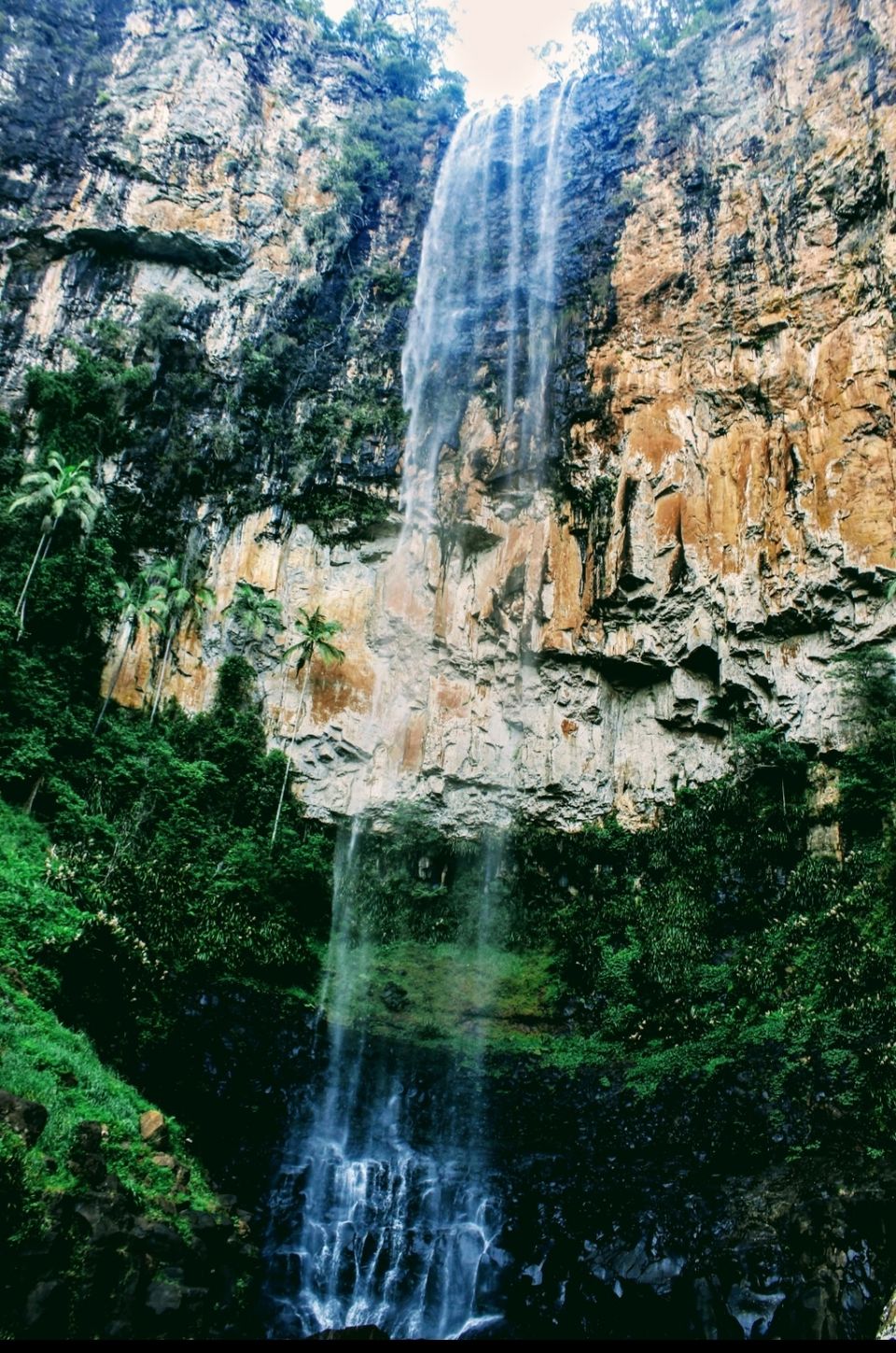Photo of Purling Brook Falls, Springbrook National Park, Forestry Road, Springbrook QLD, Australia by Mahima Dharani
