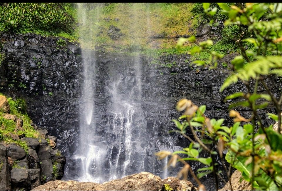 Photo of Purling Brook Falls, Springbrook National Park, Forestry Road, Springbrook QLD, Australia by Mahima Dharani