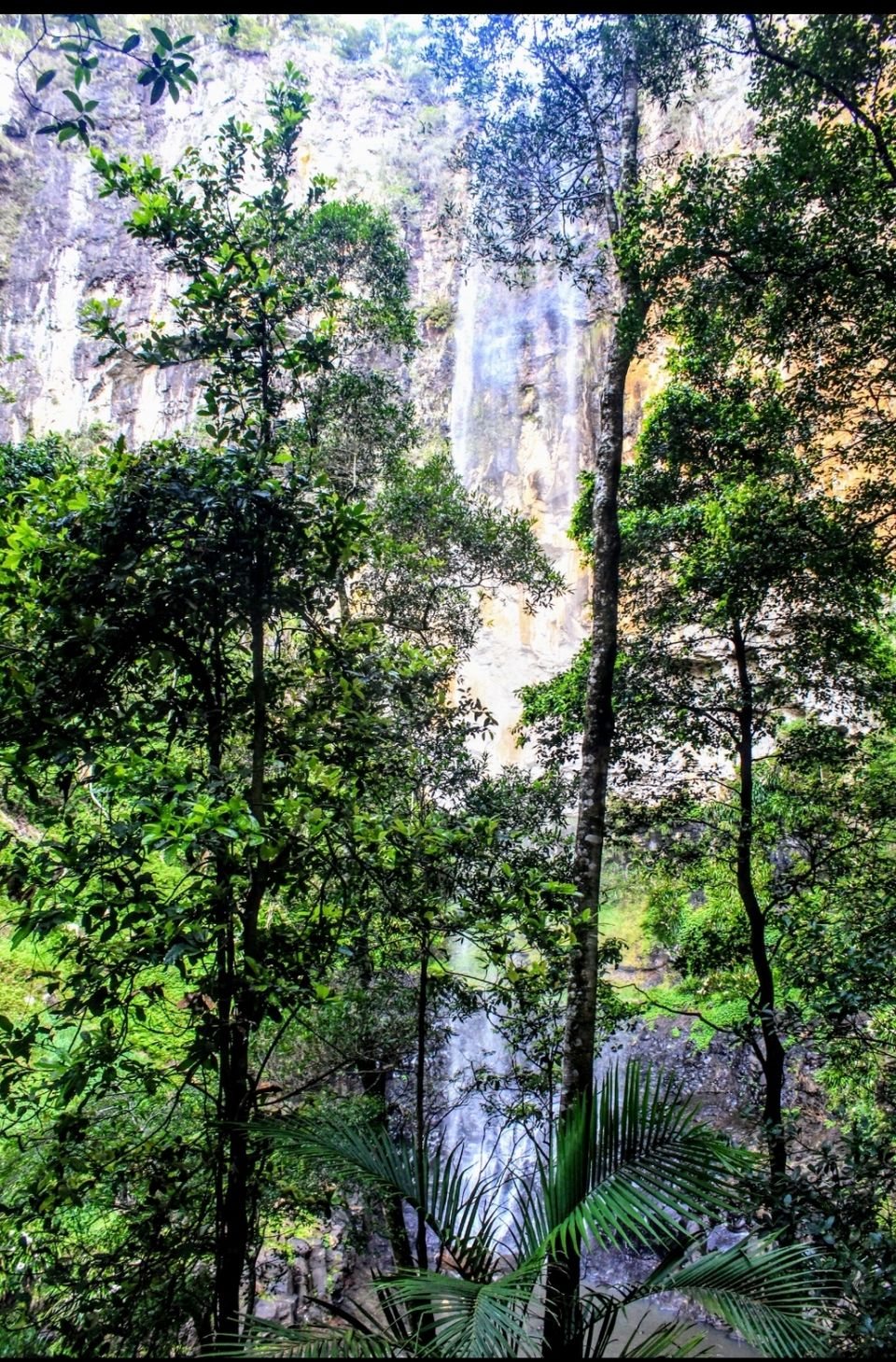Photo of Purling Brook Falls, Springbrook National Park, Forestry Road, Springbrook QLD, Australia by Mahima Dharani
