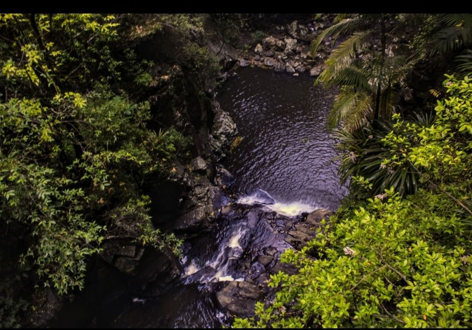 Photo of Purling Brook Falls, Springbrook National Park, Forestry Road, Springbrook QLD, Australia by Mahima Dharani