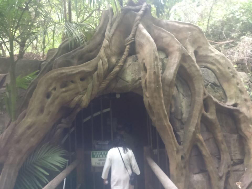 Photo of Glow Worm Caves, Cedar Creek Estate, Hartley Road, Tamborine Mountain QLD, Australia by Mahima Dharani