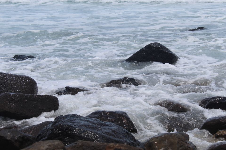 Photo of Burleigh Heads QLD, Australia by Mahima Dharani