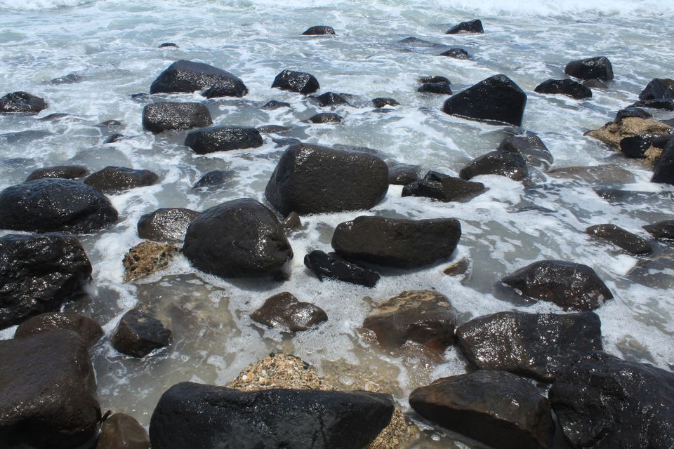 Photo of Burleigh Heads QLD, Australia by Mahima Dharani