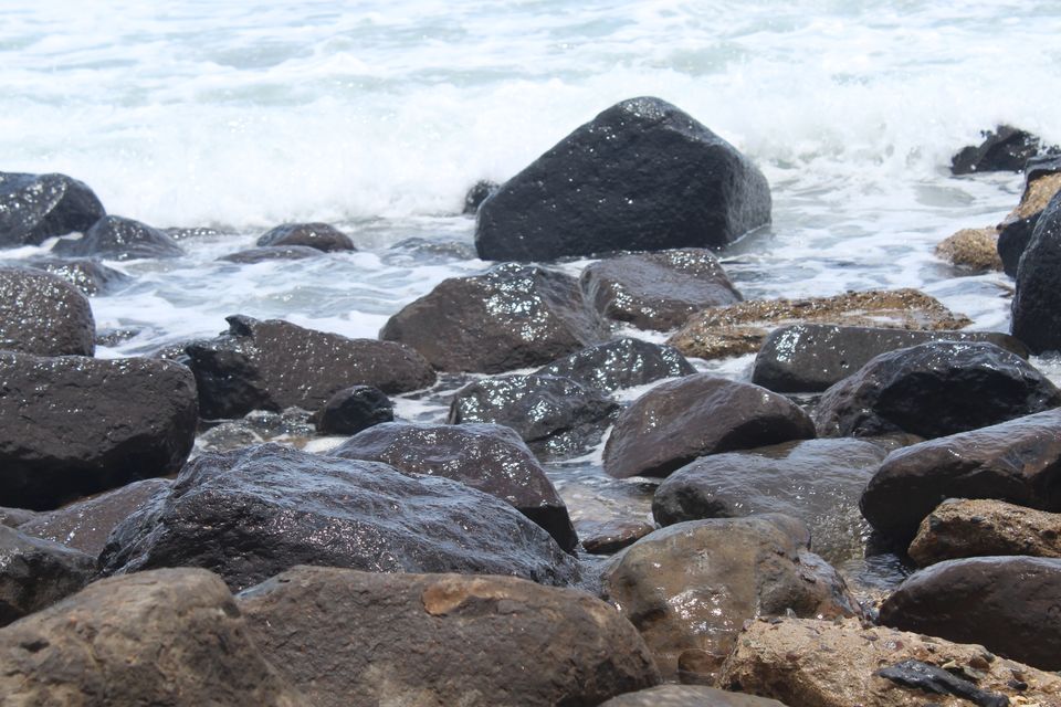 Photo of Burleigh Heads QLD, Australia by Mahima Dharani