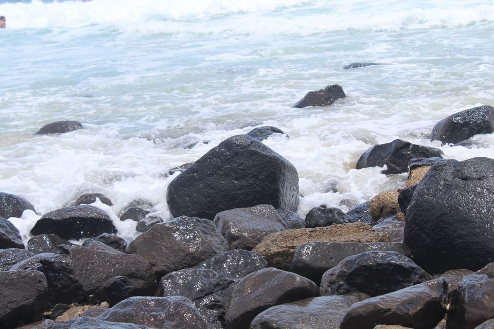 Photo of Burleigh Heads QLD, Australia by Mahima Dharani