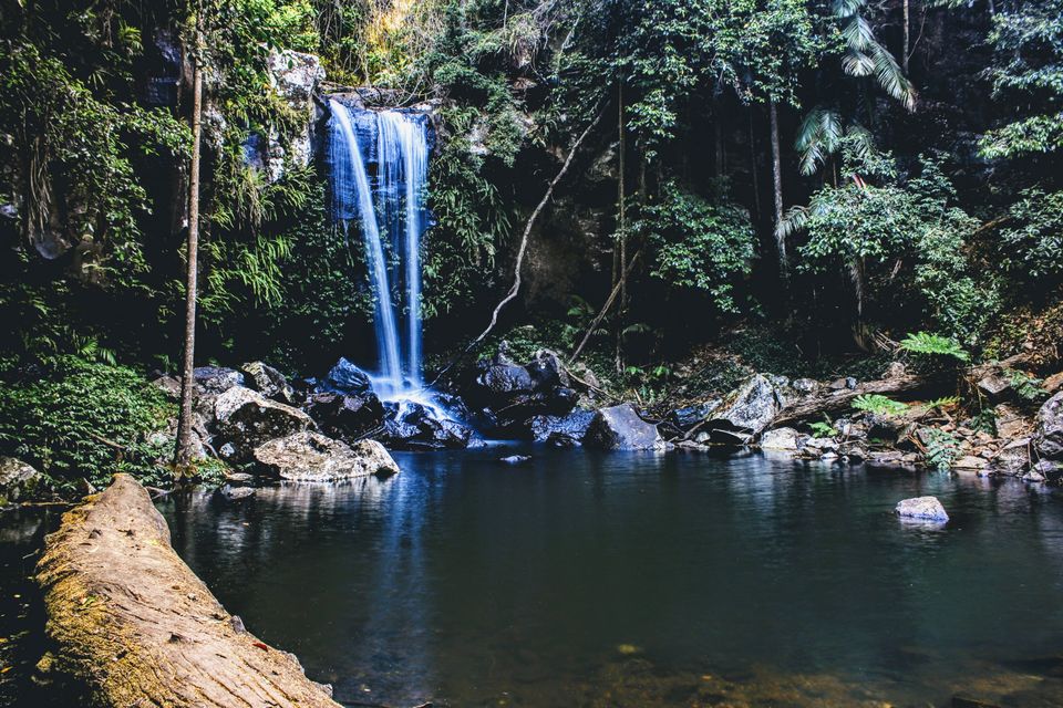 Photo of Curtis Falls viewing platform, Eagle Heights Road, Eagle Heights QLD, Australia by Mahima Dharani