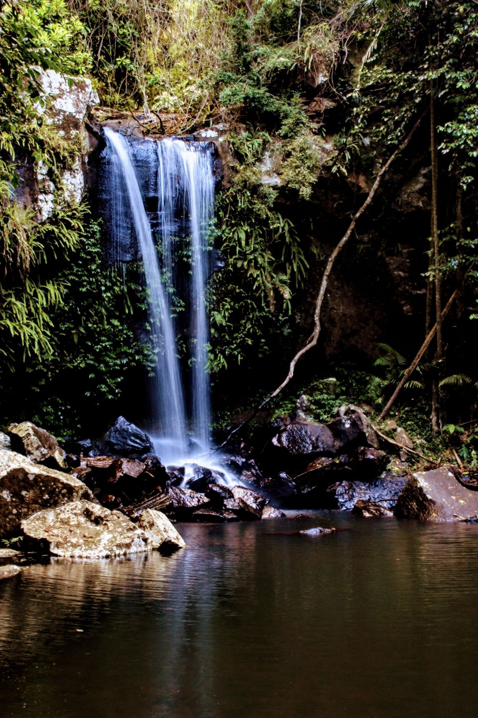 Photo of Curtis Falls viewing platform, Eagle Heights Road, Eagle Heights QLD, Australia by Mahima Dharani