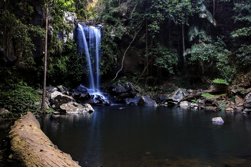 Photo of Curtis Falls viewing platform, Eagle Heights Road, Eagle Heights QLD, Australia by Mahima Dharani