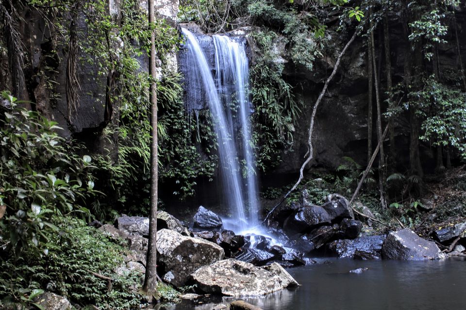 Photo of Curtis Falls viewing platform, Eagle Heights Road, Eagle Heights QLD, Australia by Mahima Dharani